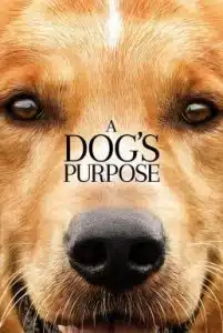 A Dog’s Purpose (2017) หมา เป้าหมาย และเด็กชายของผม