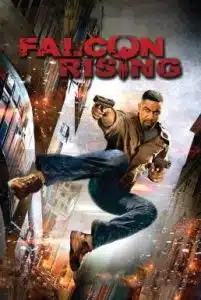 Falcon Rising (2014) ฟัลคอน ไรซิ่ง ผงาดล่าแค้น