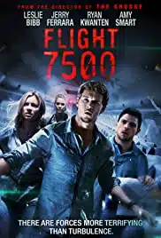 Flight 7500 (2014) ไม่ตกก็ตาย