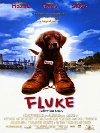 Fluke (1995) เกิดใหม่กลายเป็นหมา